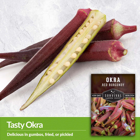 Okra is delicious in gumbos, fried or pickled