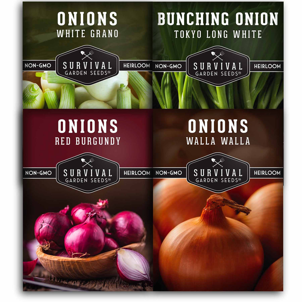 Onion Seed Collection - 4 Popular Full-Sun Varieties