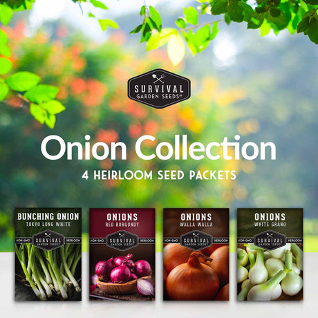 Onion Seed Collection - 4 heirloom onion seed packets