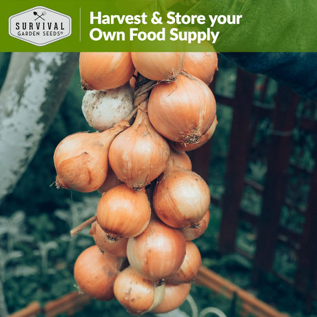 harvest and store your own food supply