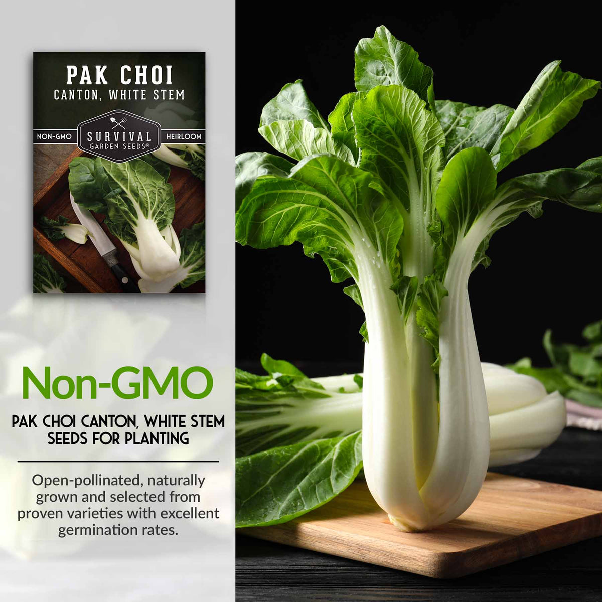 Non-GMO Pak Choi Seeds for Planting