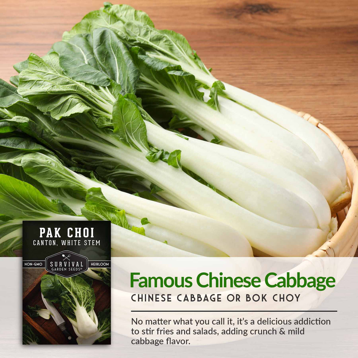 Famous Chinese Cabbage or Bok Choy