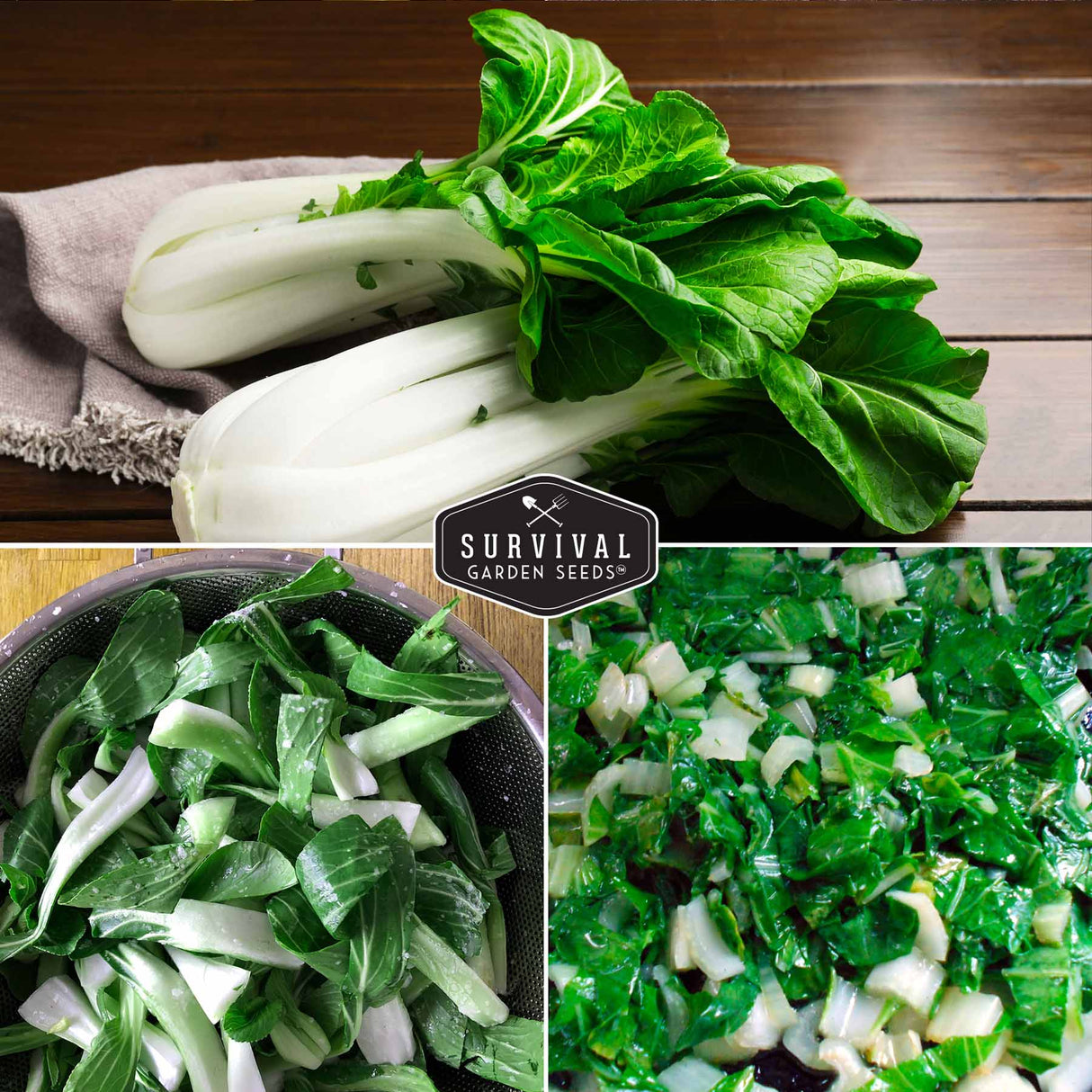 Bok Choy