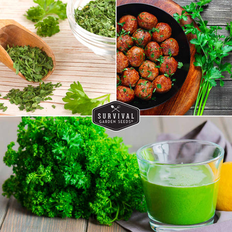 Uses for Parsley