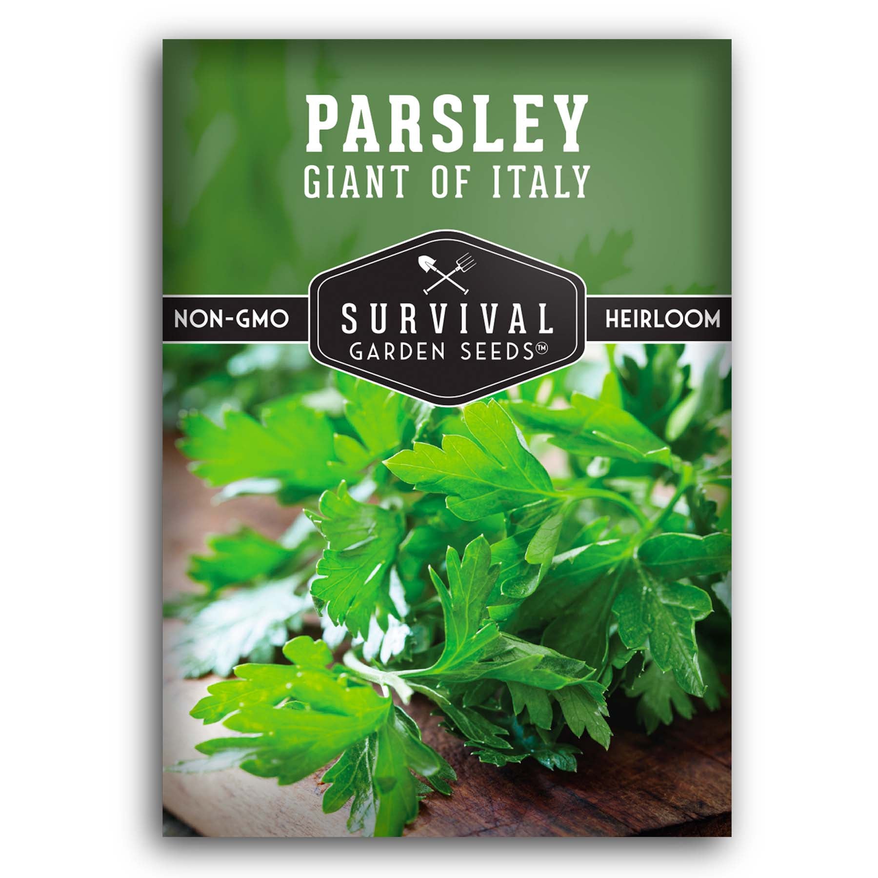 Survival Garden Seeds Giant of Italy Parsley Seeds - Thumbnail 2