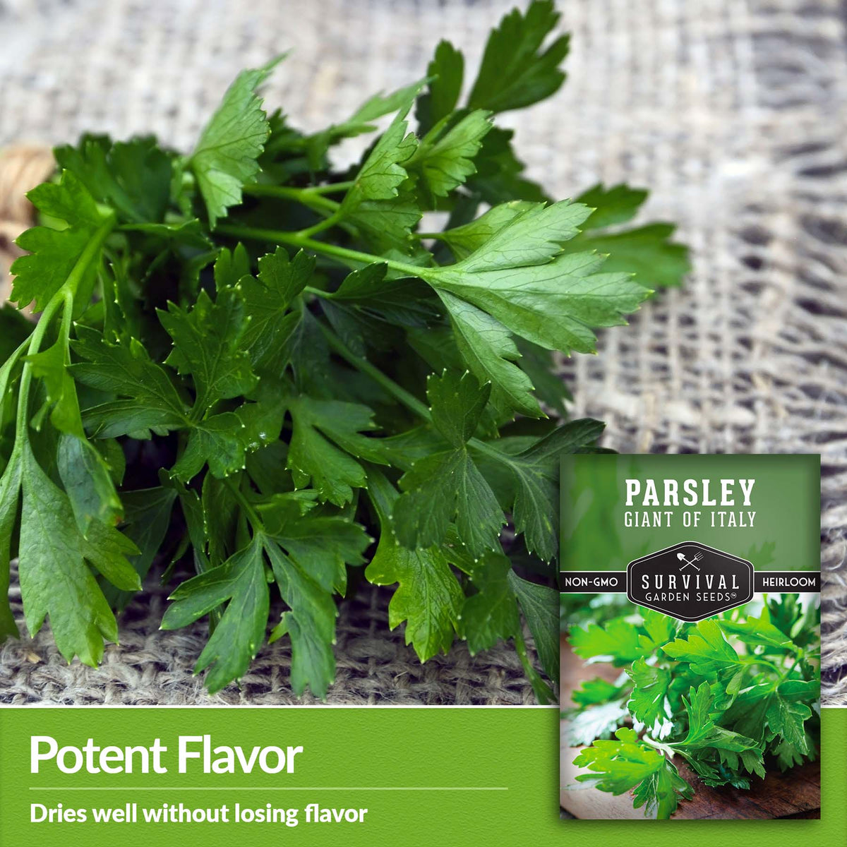 Italian giant parsley dries well without losing flavor