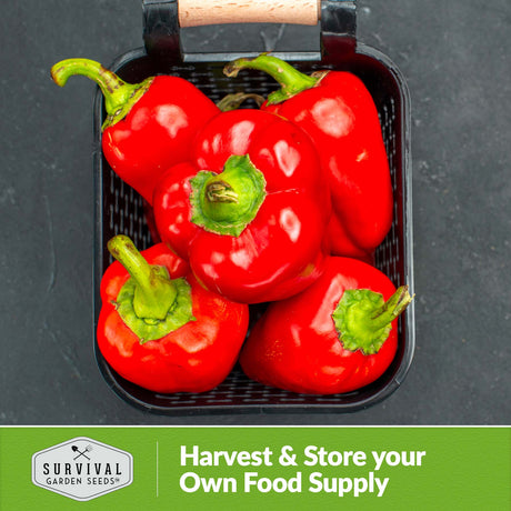 Harvest and store your own food supply