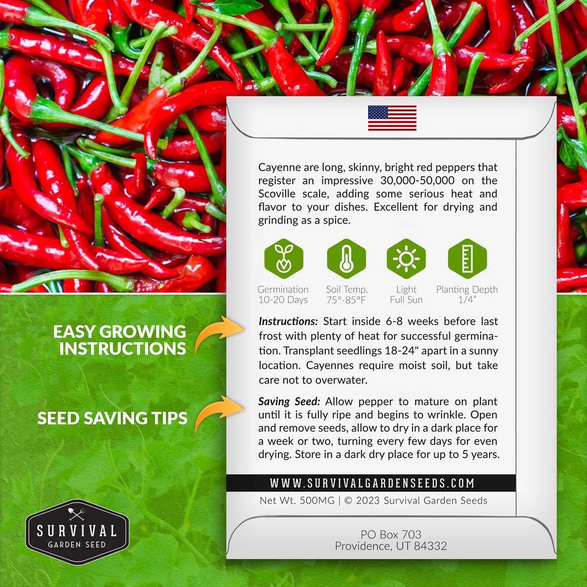 Cayenne pepper seeds planting instructions