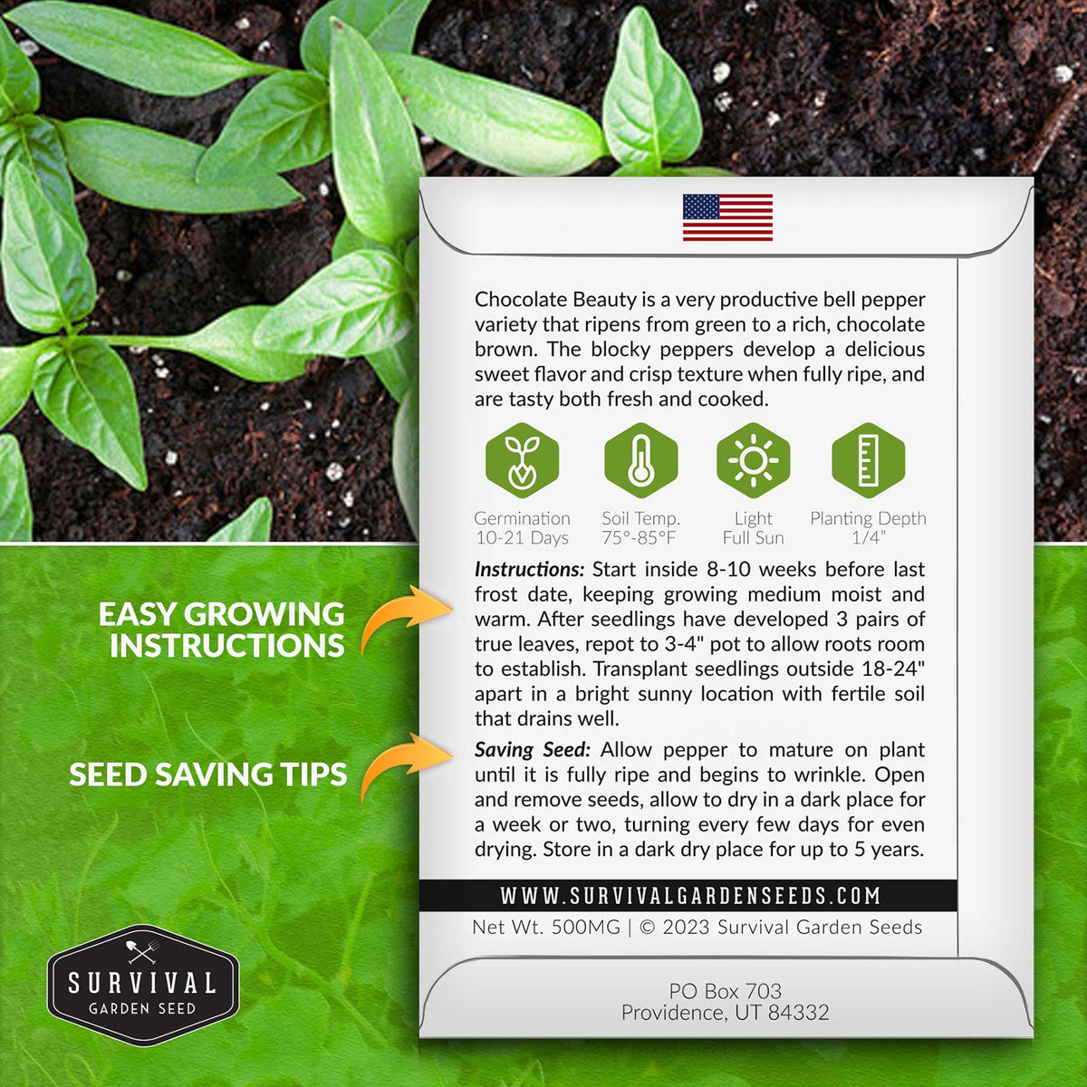 Chocolate Beauty Pepper planting instructions