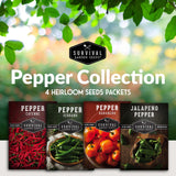 4 heirloom hot pepper seed packets