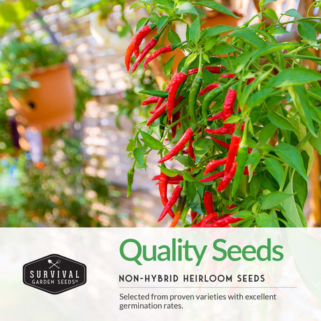 quality non-hybrid heirloom pepper seeds