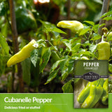 Cubanelle peppers are delicious fried or stuffed