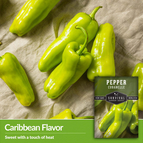 Cubanelle peppers have a classic Caribbean flavor