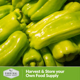 Harvest and store your own food supply