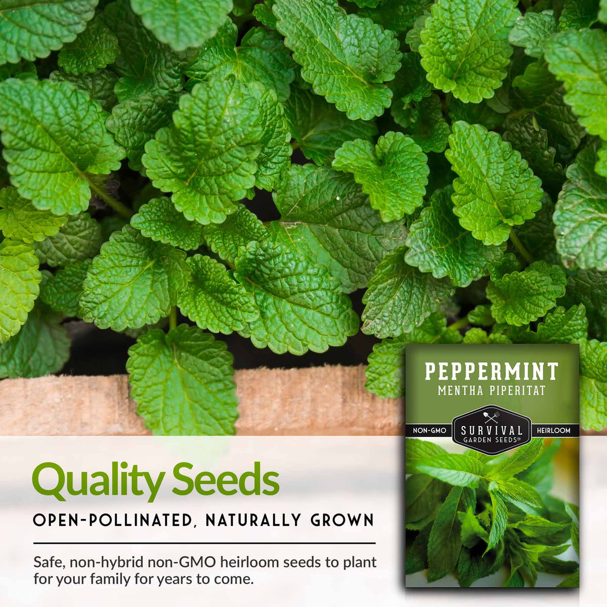 Quality open-pollinated herb seeds