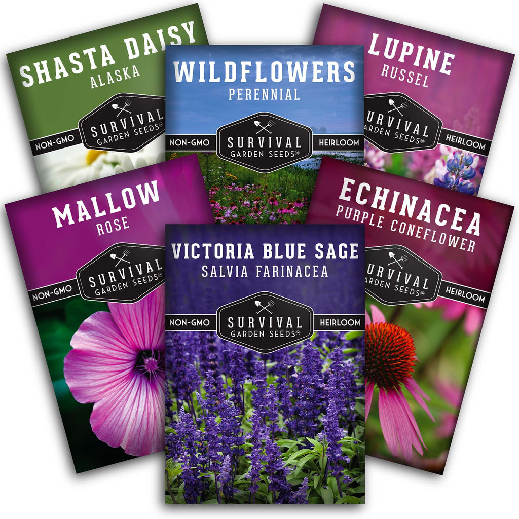 Perennial Flowers Mix - Shasta Daisy, Echinacea, Russell Lupine, Rose Mallow, Blue Sage, and Perennial Wildflower Mix
