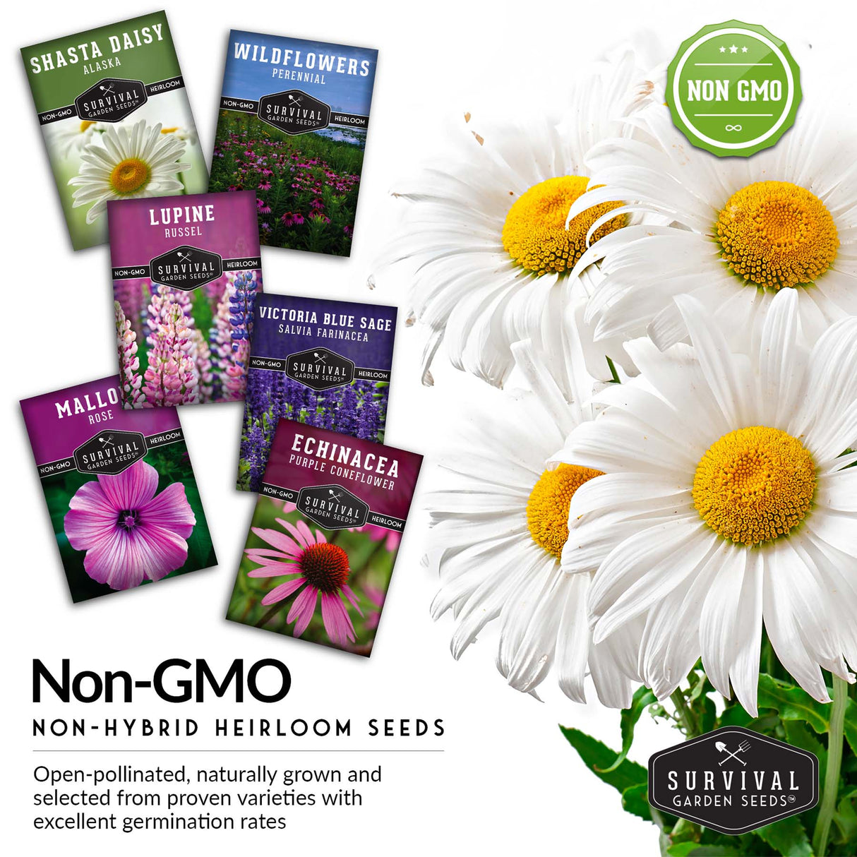 Non-GMO, non-hybrd heirloom flower seed packets