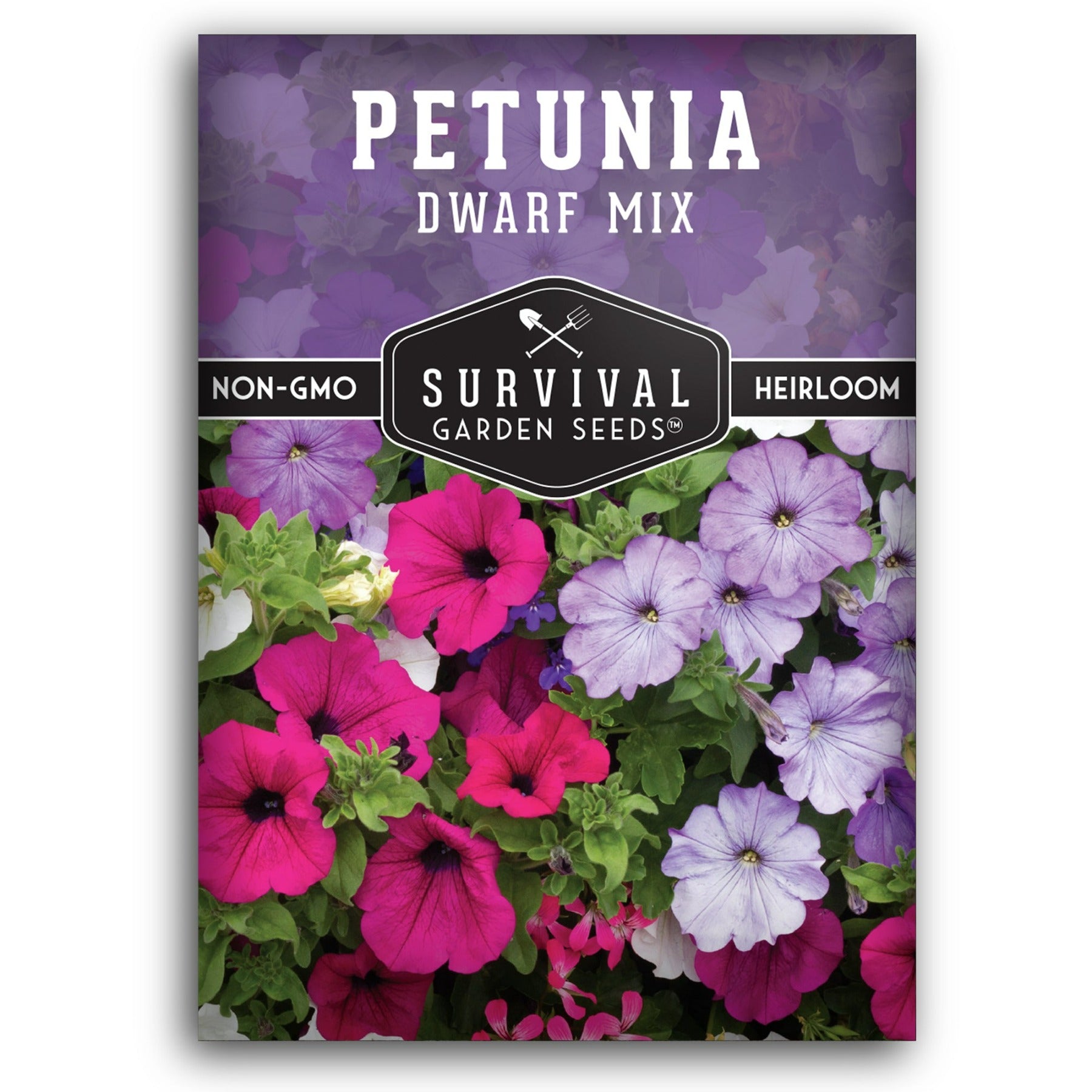 Dwarf Petunia seed mix for planting