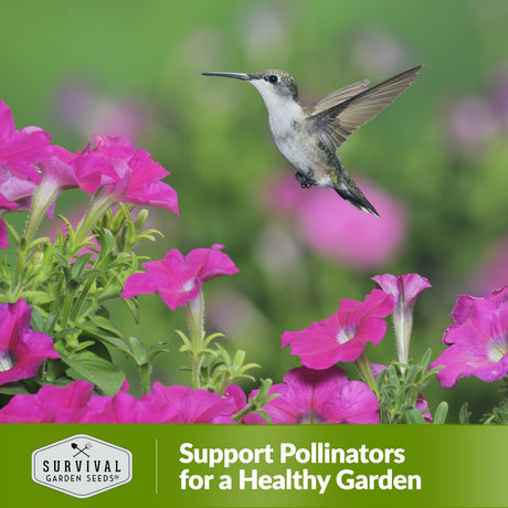 Support pollinators for a healthy garden