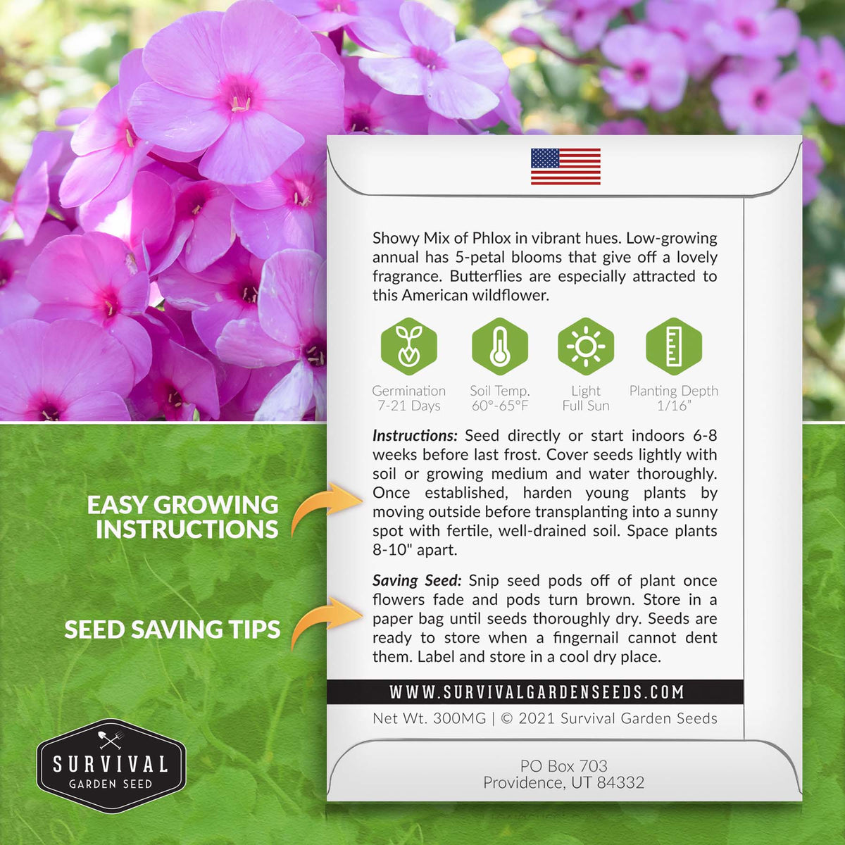 Annual Phlox seed planting instructions