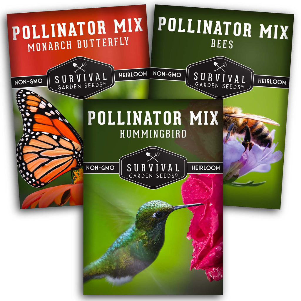 Pollinator Flower Collection - Flowers to Attract Bees, Butterflies and Hummingbirds