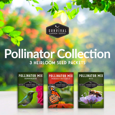 Pollinator Flower Seed Collection - 3 heirloom flower seed packets