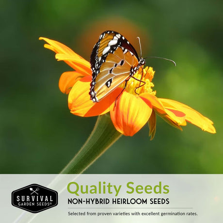 Quality seeds to attract pollinators to your garden