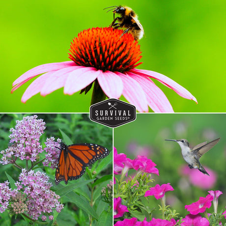 Bring bees, butterflies and hummingbirds to your garden with flowers