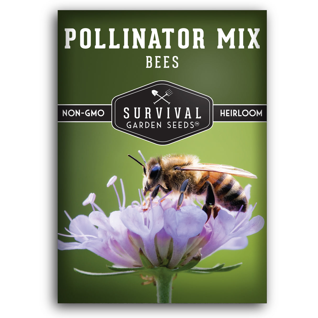 Pollinator Flower Mix - Plants for Bees