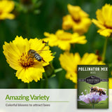 Pollinator Flower Mix - Plants for Bees