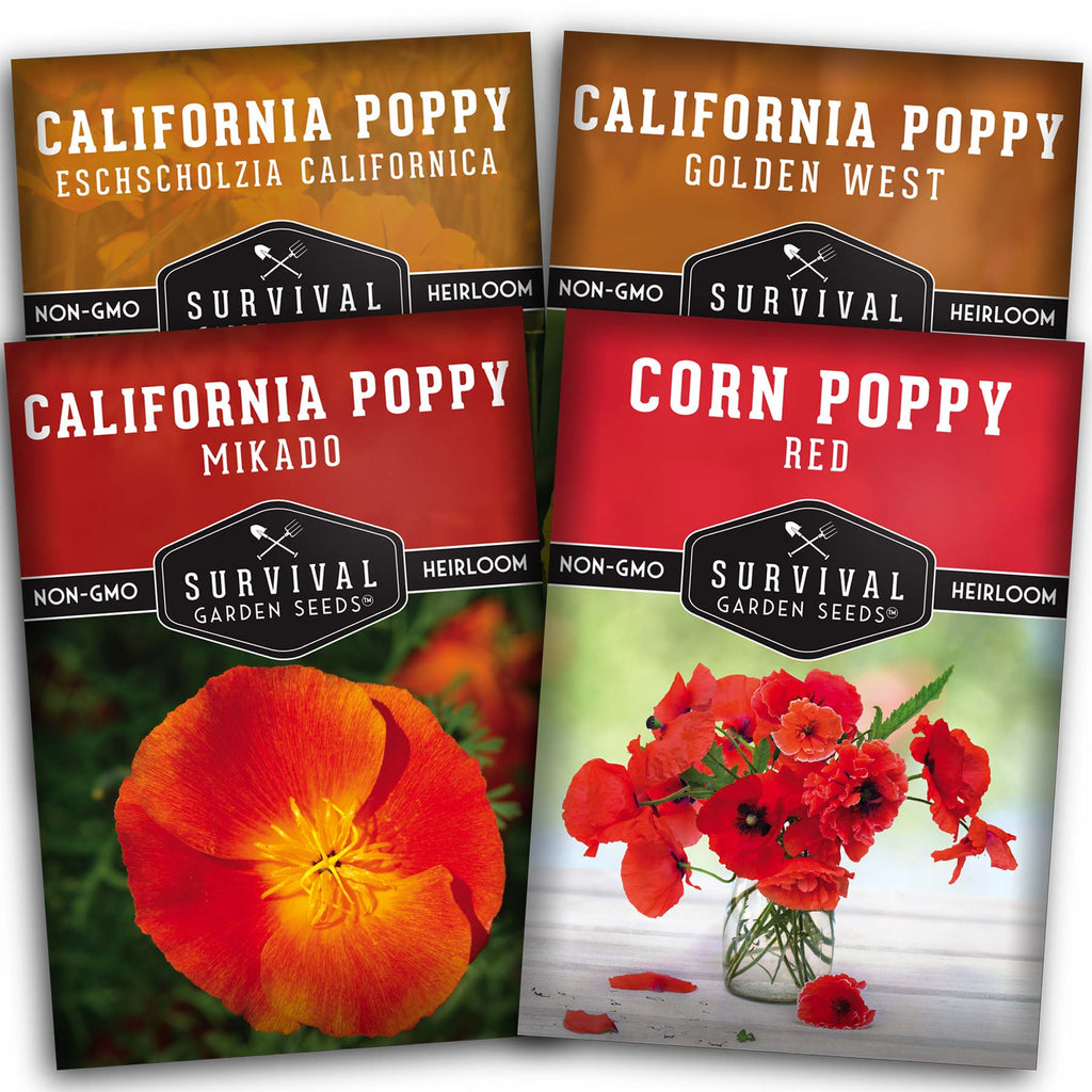 Poppy Flower Collection - California, California Golden West, California Mikado, and Red Corn Poppy