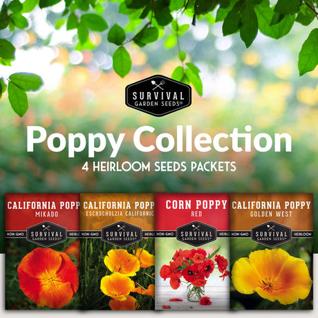 4 Heirloom poppy flower seed packets