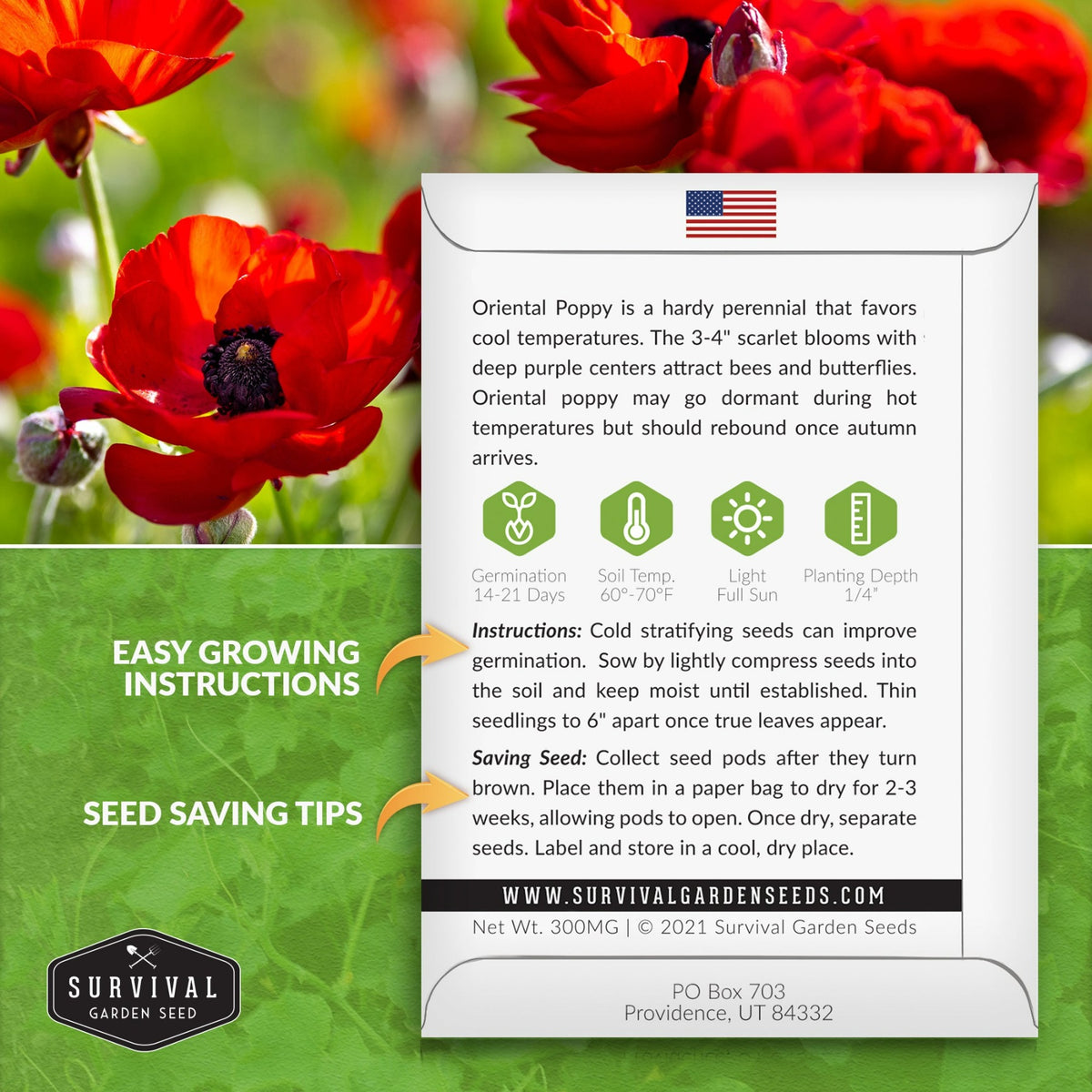 Oriental Poppy seed planting instructions
