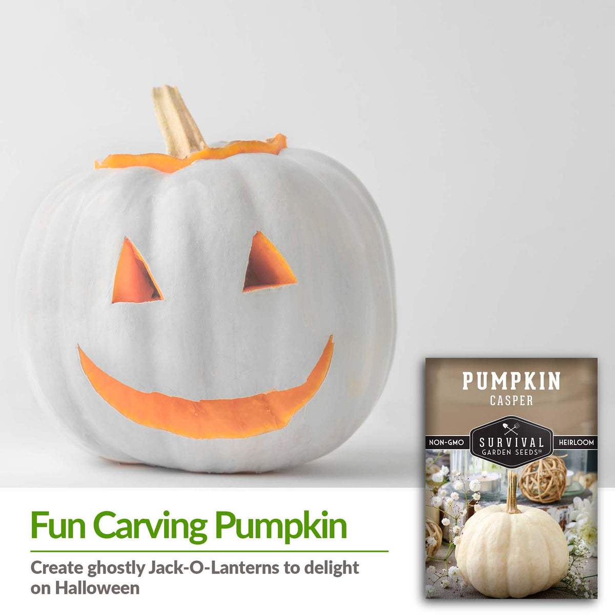 Casper Pumpkins are a fun carving pumpkin