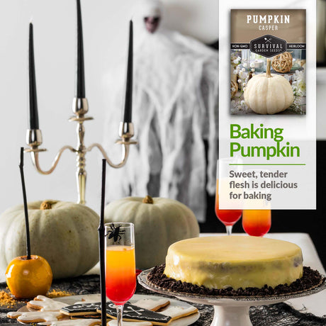 Casper Pumpkins are delicious for baking