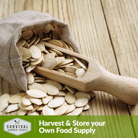 Harvest and store your own food supply