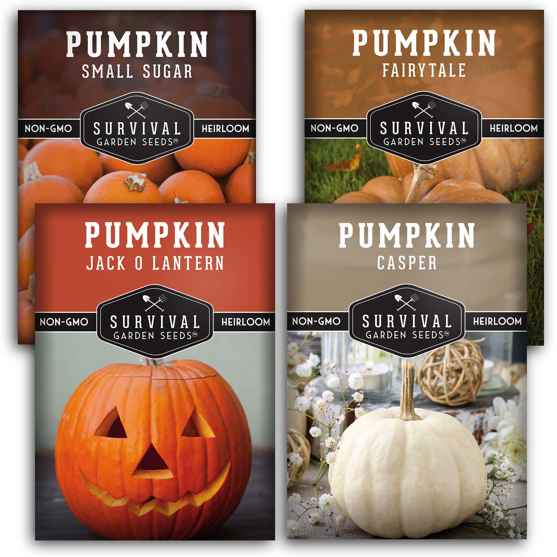 Pumpkin seed collection for planting