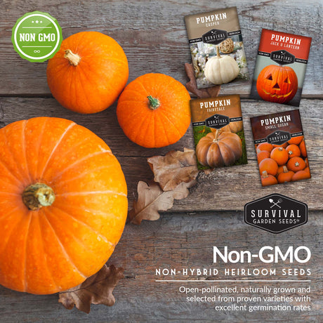 non-gmo heirloom pumpkin seed packets