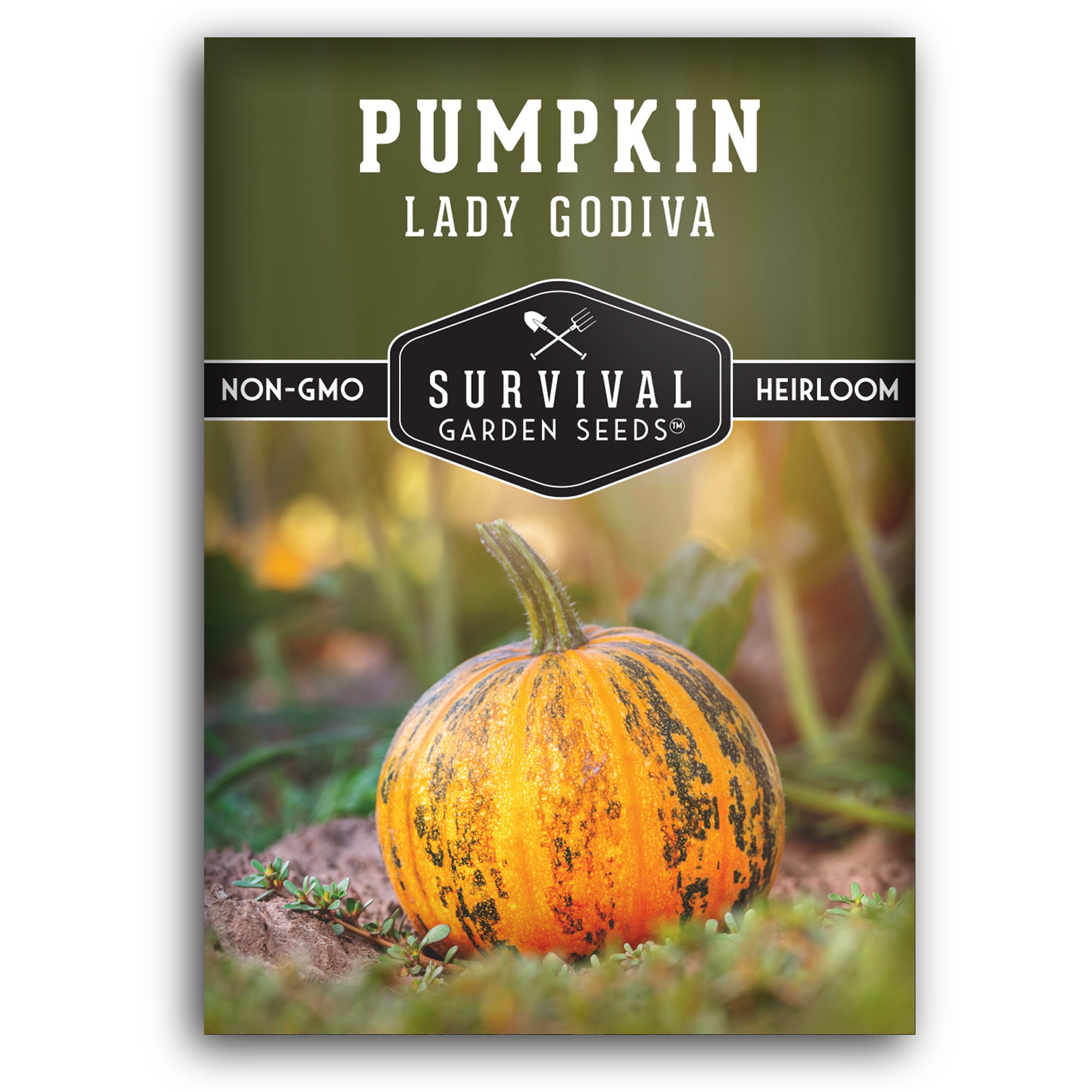 Lady Godiva Pumpkin Seeds – Heirloom Hulless Variety