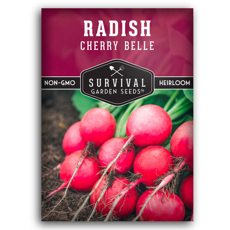 Cherry Belle Radish seeds for planting