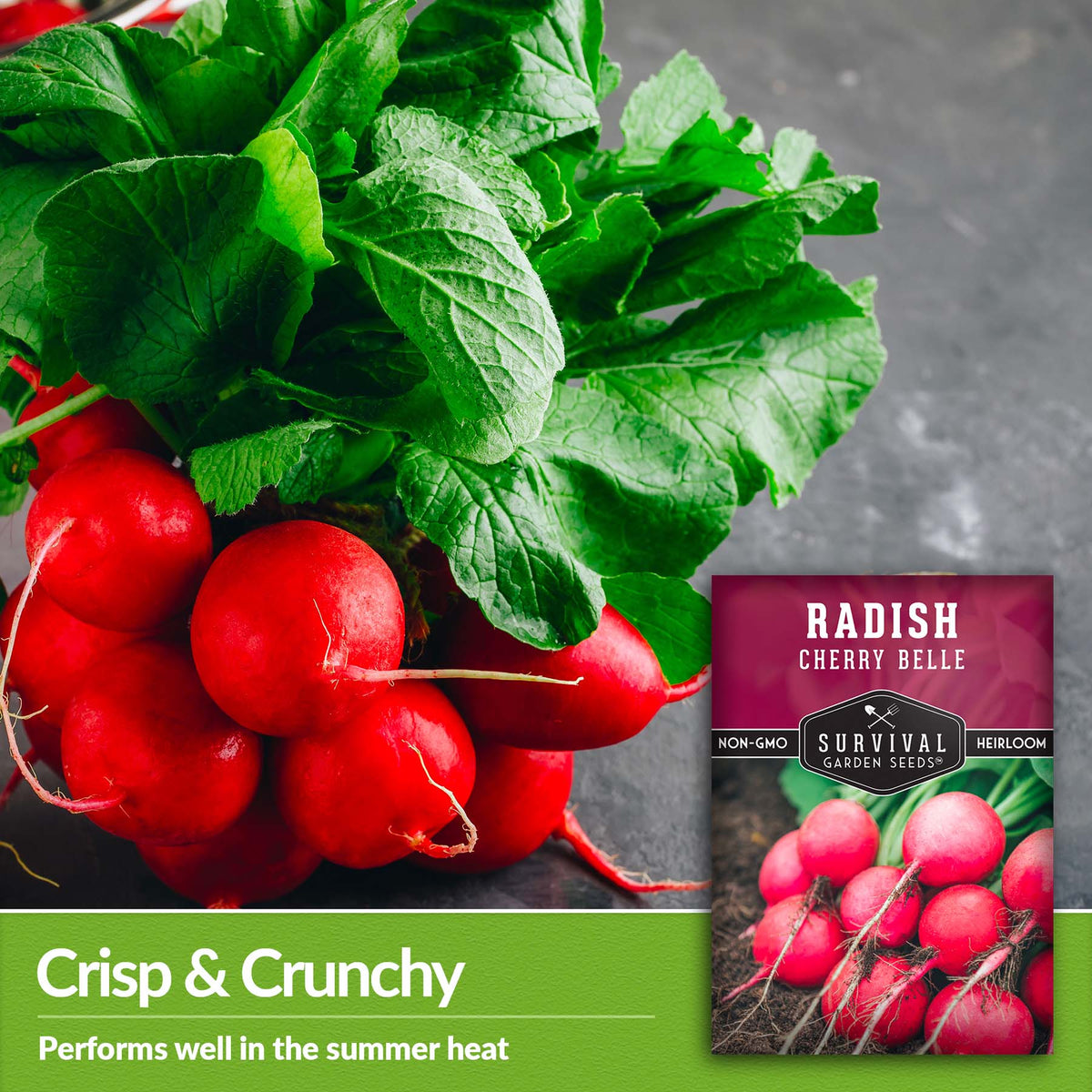 Cherry Belle Radish is crisp and crunch and performs well in summer heat