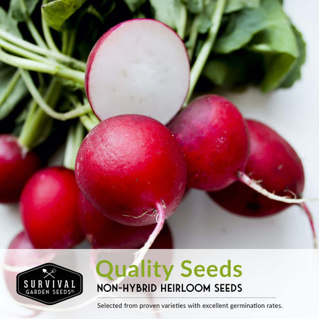 quality non-hybrid heirloom radish seeds