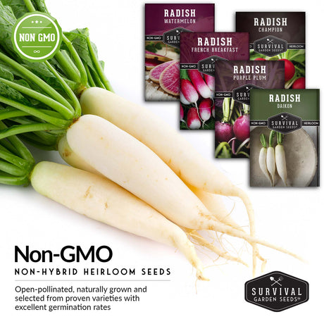 Non-GMO Heirloom radish seed packets