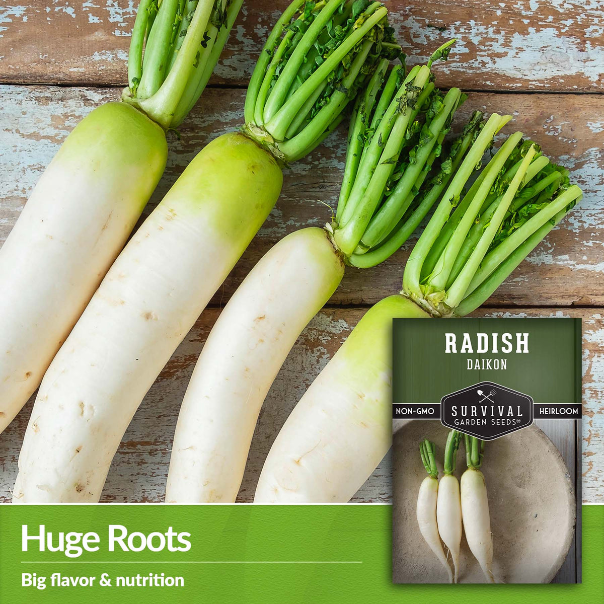 Daikon Radish has huge roots with big flavor and nutrition