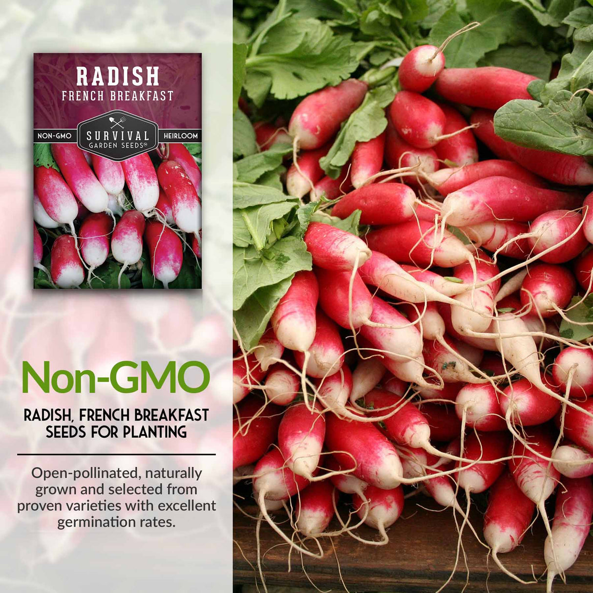 Non-gmo radish seeds