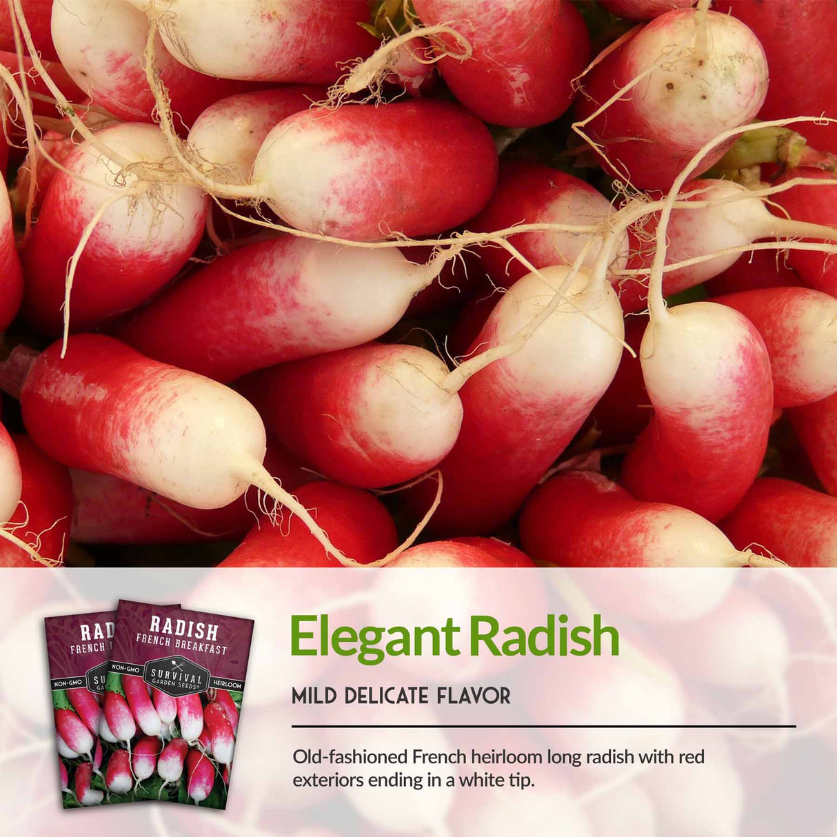 French Breakfast radish has a mild delicate flavor