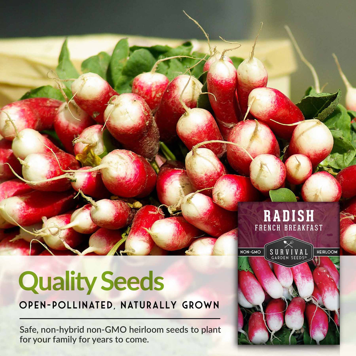 quality open-pollinated radish seeds