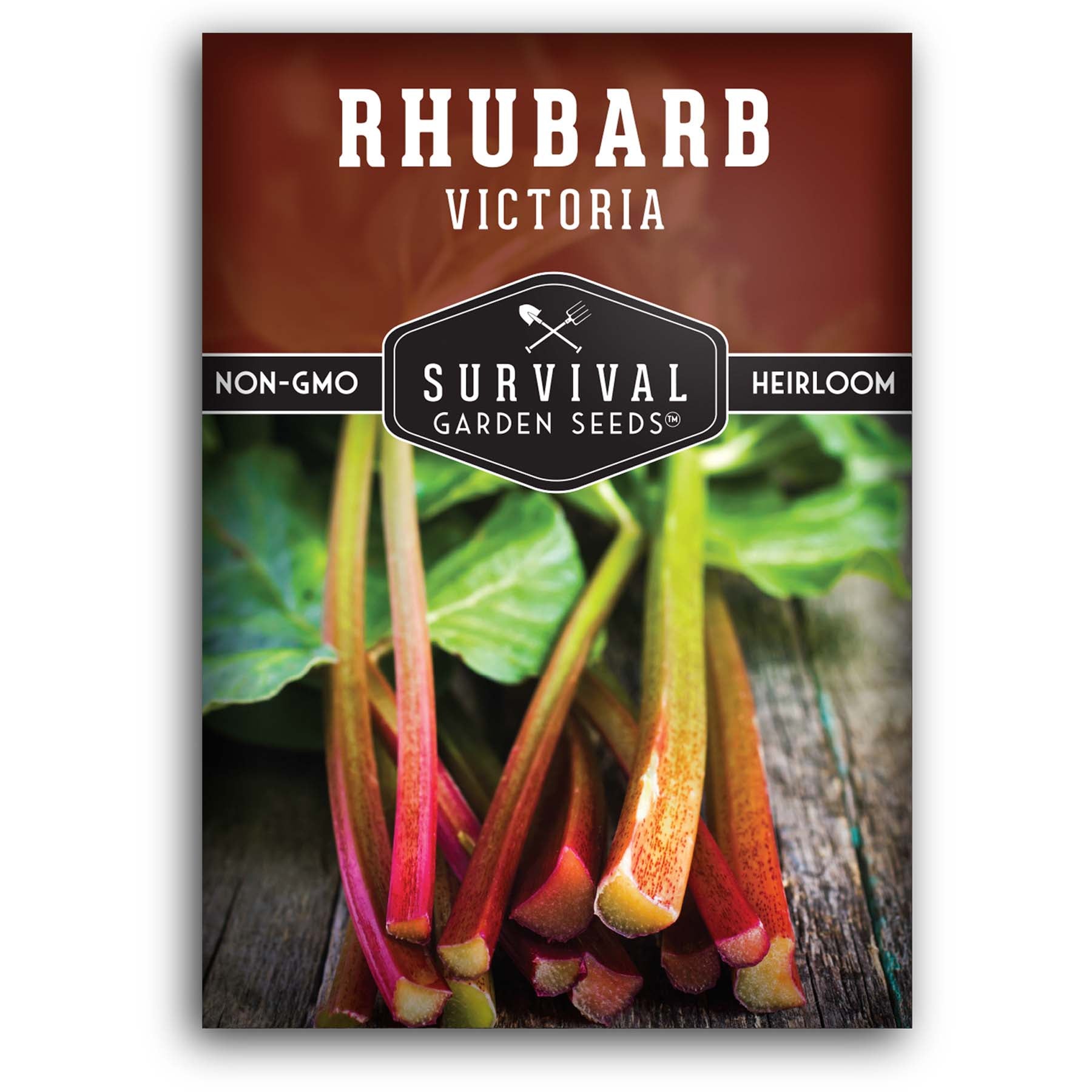  Victoria Red Rhubarb 25 Seeds-Perennial - Easy to grow :  Vegetable Plants : Patio, Lawn & Garden