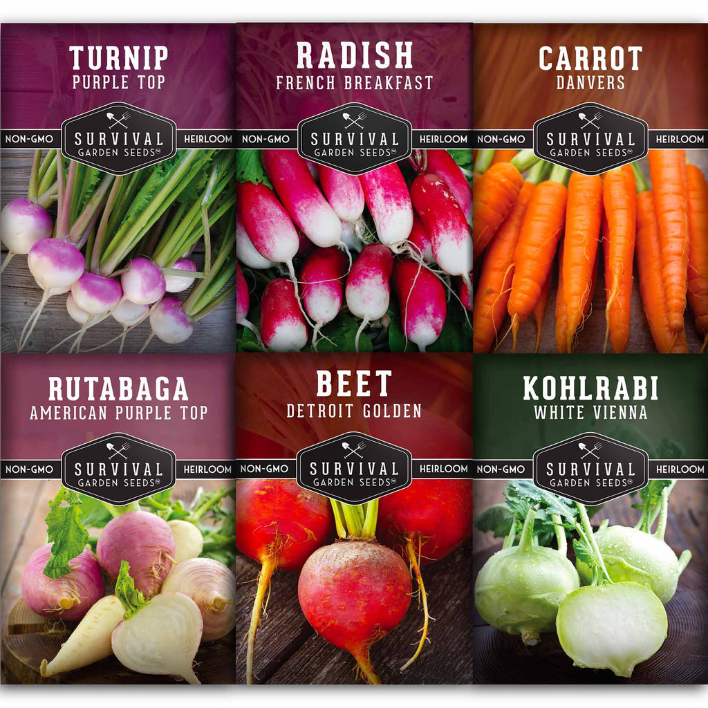 Root Vegetable Seed Collection - Cool Weather Favorites