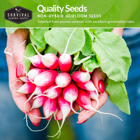 Quality non-hybrid heirloom vegetable seeds